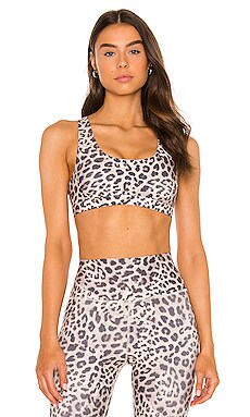 Spiritual Gangster Studio Sports Bra in Leopard Print