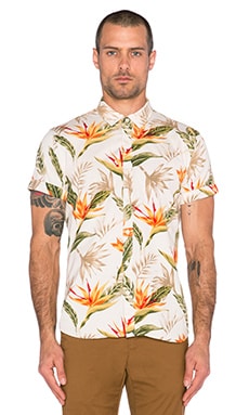 Рубашка Scotch & Soda