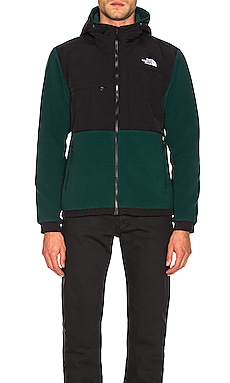 The North Face Denali 2 Hoodie in Night Green | REVOLVE