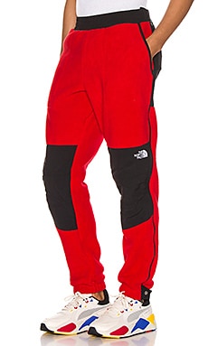 north face denali pant