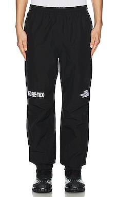 Gtx Mountain Pants The North Face