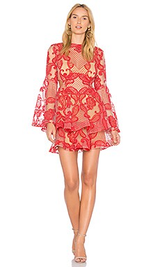 Thurley paisley 2025 passion dress