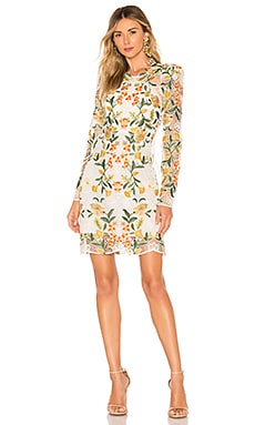 Thurley yellow outlet dress