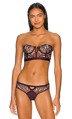 Thistle and Spire Cirsi Strapless Bra in Cordial
