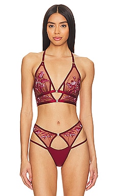 Thistle and Spire Dryad Bra in Ruby & Butterscotch