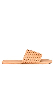 Product image of TKEES Caro Sandal. Click to view full details