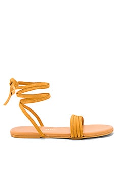 TKEES