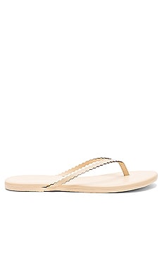 TKEES Studio Scalloped Sandal in Bella | REVOLVE