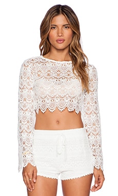 Bardot Georgia Lace Top in Oyster