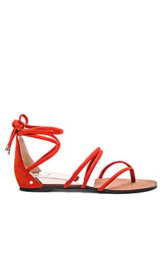 Vince Camuto