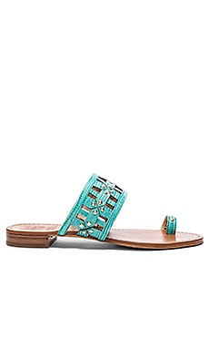 Vince Camuto