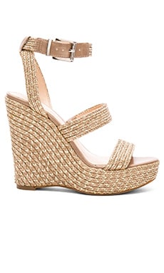 Vince Camuto