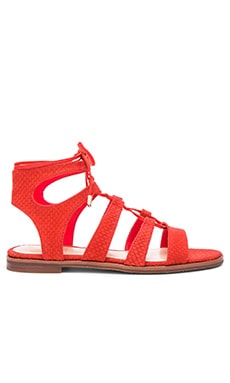 Vince Camuto