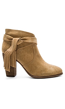 Vince Camuto