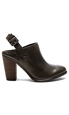 Vince Camuto