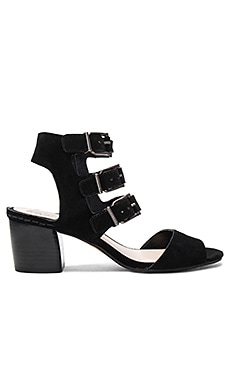 Vince Camuto