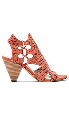 Vince Camuto