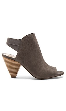 Vince Camuto