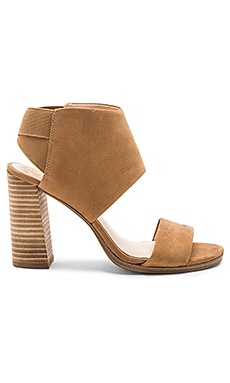 Vince Camuto