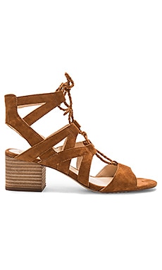 Vince Camuto