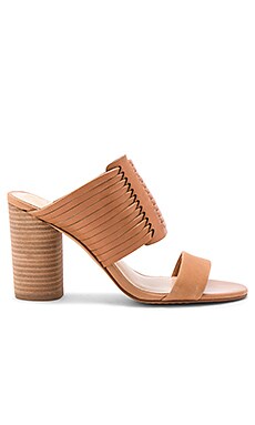 Vince Camuto