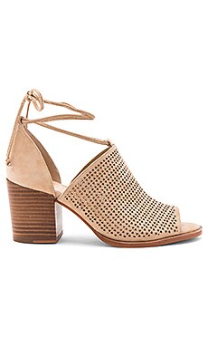 Vince Camuto