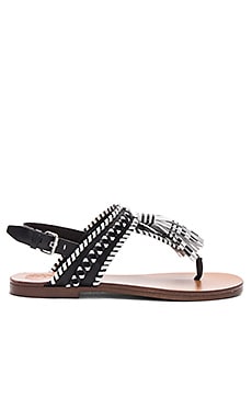 Vince Camuto