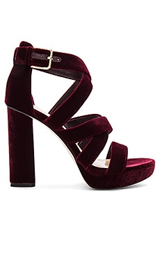 Vince Camuto
