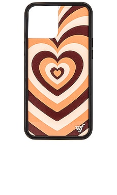 iPhone 12 Pro Max Case Wildflower $15 (FINAL SALE) 