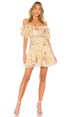 Zimmermann store melody dress