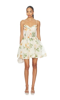 Zimmermann Carousel Corset Mini Dress in Cream Rose | REVOLVE