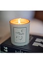 view 6 of 7 The Candle in 