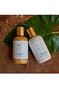 view 4 of 6 The Mini Nourishing Duo in 