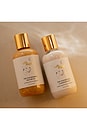 view 6 of 6 The Mini Nourishing Duo in 