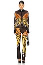 view 5 of 6 Butterfly Trousers in Brown
