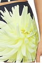 view 6 of 6 FALDA SKIRT in Yellow Floral