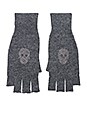 view 1 of 1 Theo Skull Gloves in Gravel