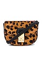 view 1 of 5 Pashli Mini Saddle Belt Bag in Leopard