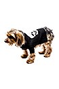 view 2 of 4 JERSEY PERRO SKULL in Black & Ivory Skull