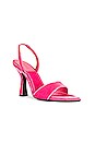 view 2 of 5 Lily Sandals in Velvet Flamingo