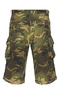 view 2 of 5 Bermuda Camo Shorts in Washed Camouflage