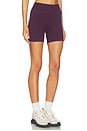 view 2 of 6 The Essentials Short in Plum