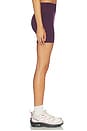 view 4 of 6 The Essentials Short in Plum