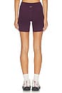 view 5 of 6 The Essentials Short in Plum