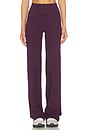view 2 of 7 The Essentials Pant in Plum