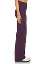 view 5 of 7 The Essentials Pant in Plum