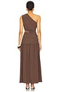 view 4 of 4 Yara Maxi Dress in Brown