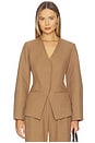 view 1 of 4 VESTE STANLIE in Taupe