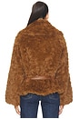 view 5 of 5 Etienne Faux Fur Jacket in Chestnut