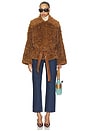 view 6 of 5 Etienne Faux Fur Jacket in Chestnut